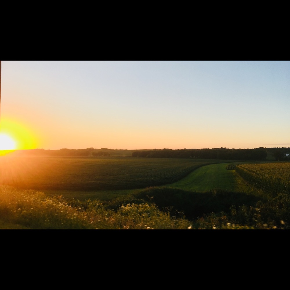 Meet your Posher, Jocelyn